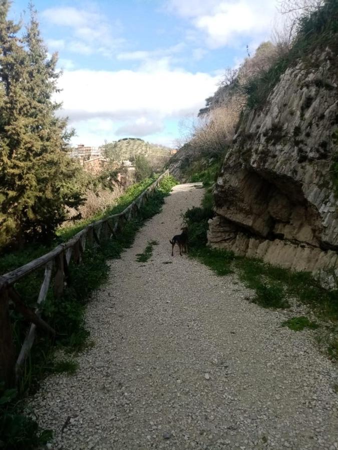 Soleluna Santa Elisabetta المظهر الخارجي الصورة